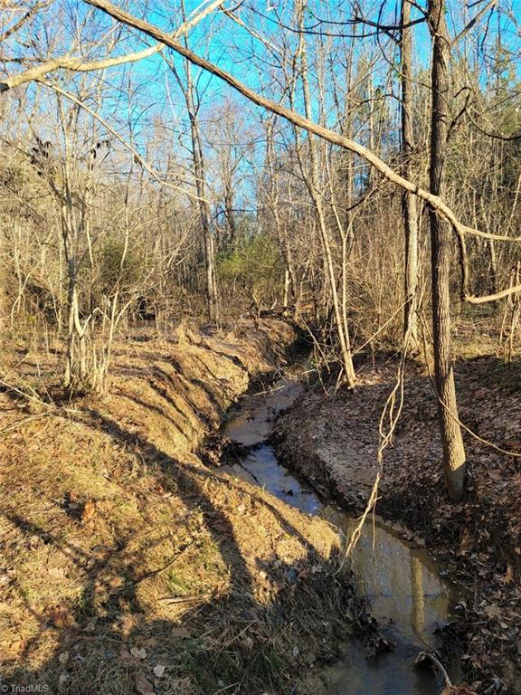 2300 Shuff Road Madison, NC 27025 - Photo 4 of 5