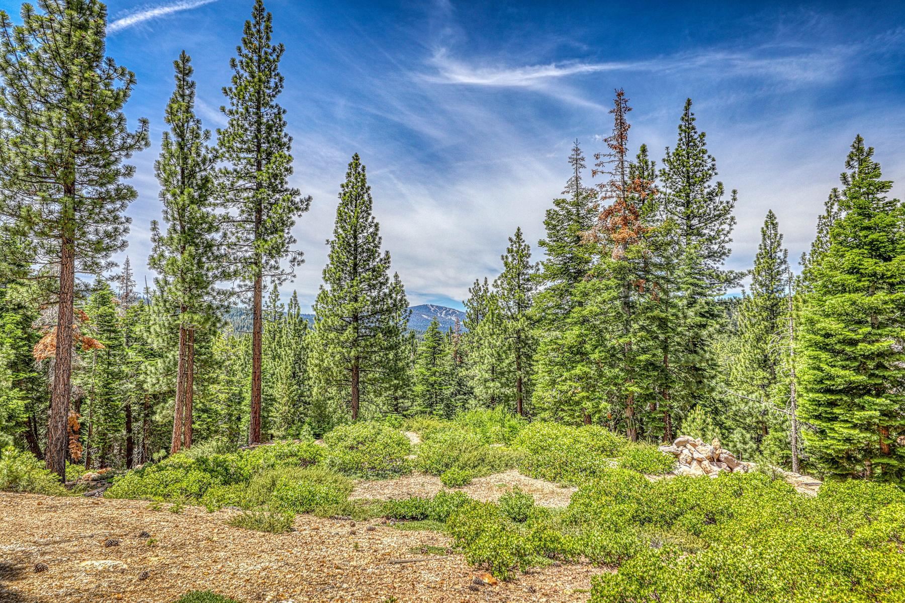 16145 Martis Peak Road Truckee, CA 96161 - Photo 1 of 21
