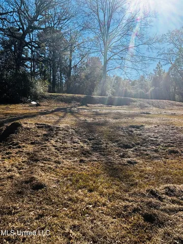 $89,000 | 29 Agnew Street, Morton, MS 39117