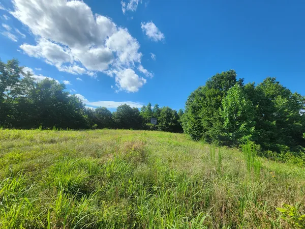 $1,100,000 | 0 Sinking Creek Road, Linden, TN 37096