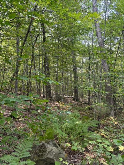Lot 2 Woodard Road Augusta, ME 04330 - Photo 12 of 13 image2 (1)