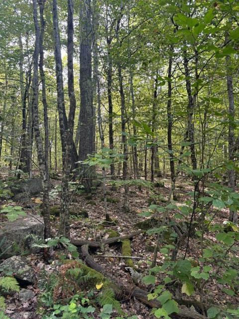 Lot 2 Woodard Road Augusta, ME 04330 - Photo 13 of 13 image1 (1)