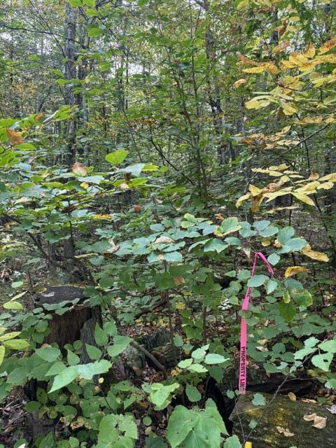 Lot 2 Woodard Road Augusta, ME 04330 - Photo 5 of 13 image9