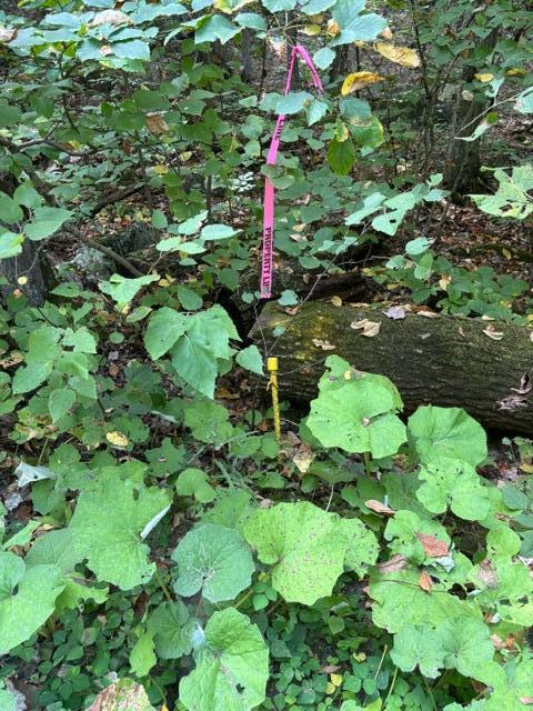 Lot 2 Woodard Road Augusta, ME 04330 - Photo 6 of 13 image8 (1)