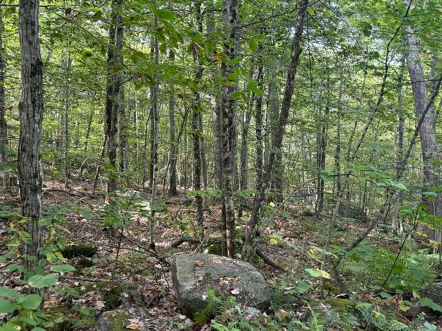 Lot 2 Woodard Road Augusta, ME 04330 - Photo 7 of 13 image7 (1)
