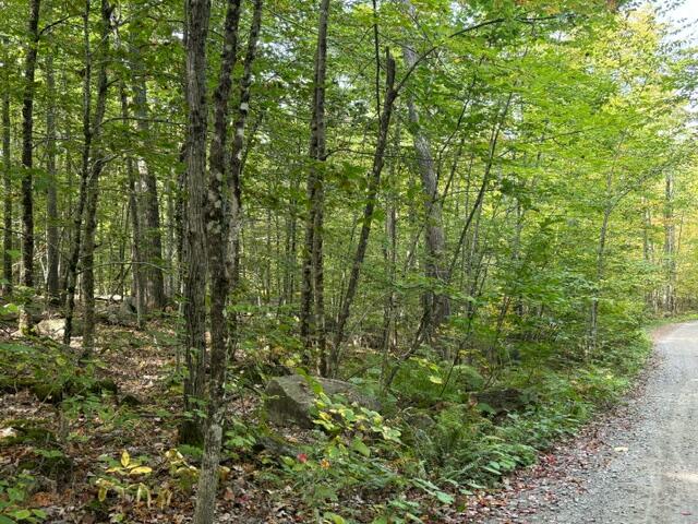 Lot 2 Woodard Road Augusta, ME 04330 - Photo 8 of 13 image6 (1)