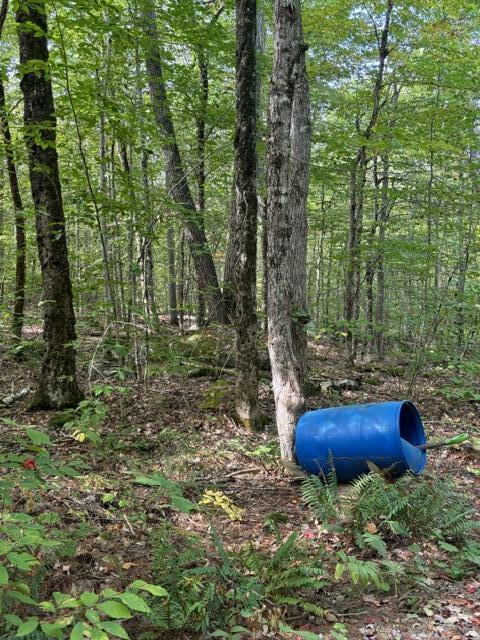 Lot 2 Woodard Road Augusta, ME 04330 - Photo 9 of 13 image5 (1)