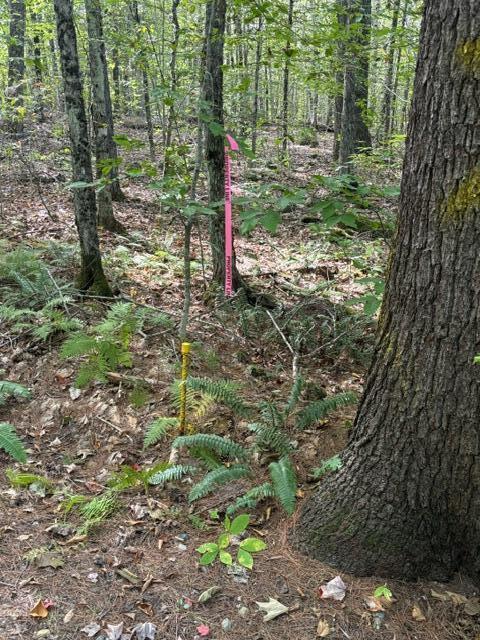 Lot 2 Woodard Road Augusta, ME 04330 - Photo 10 of 13 image4 (1)