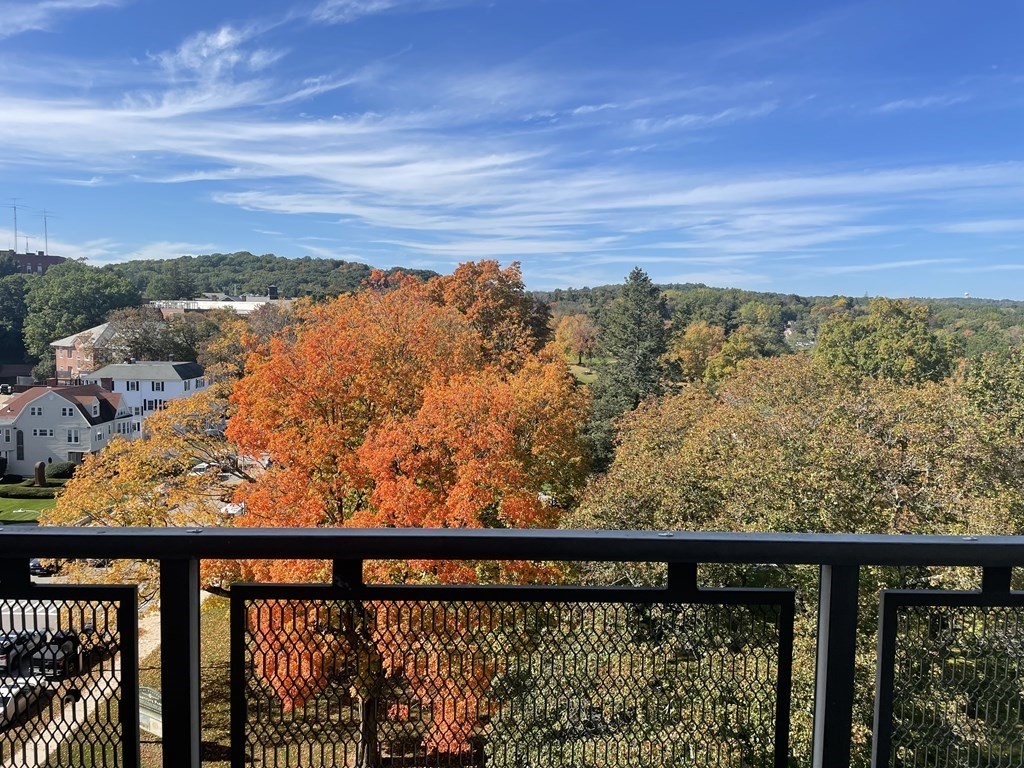 80 Salisbury Street, Unit 806 Worcester, MA 01609 - Photo 1 of 13 swimming view from window