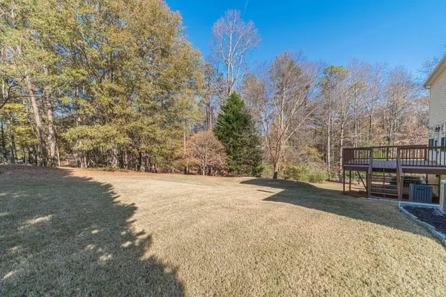 a big yard with a large tree