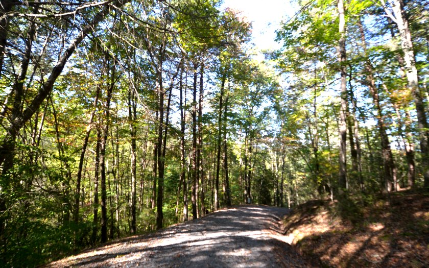 4 Little Rocky Face Blue Ridge Blue Ridge, GA 30513 - Photo 1 of 1 Main View