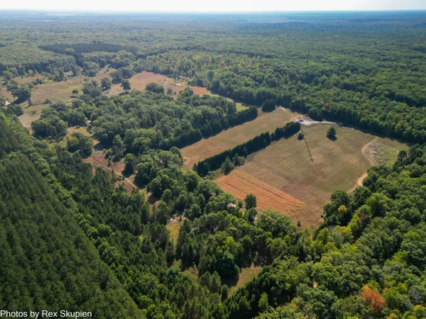 $540,000 | 11664 North Gordon Avenue, Bitely, MI 49309