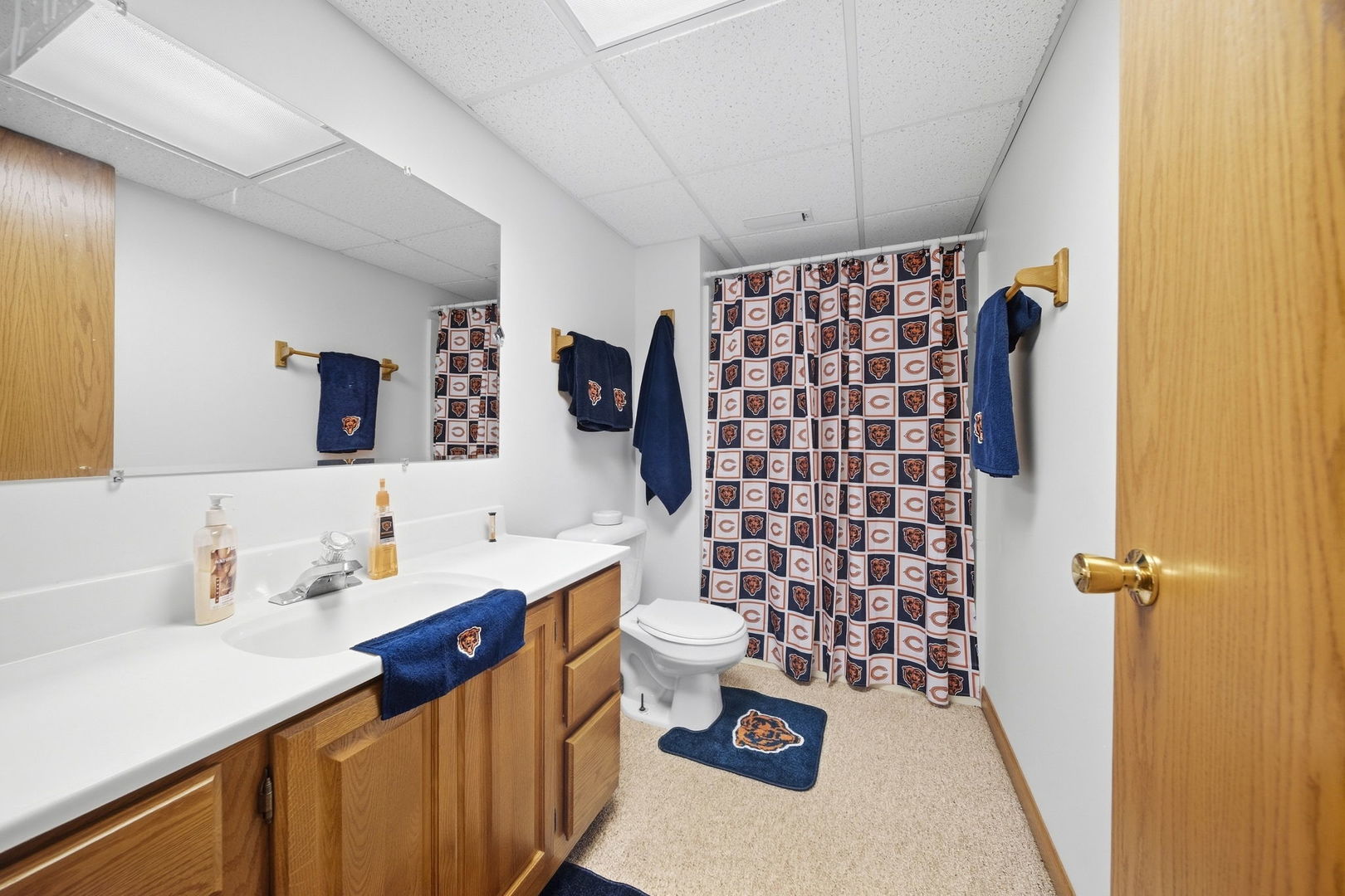 11630 Parkside Lane Mokena, IL 60448 - Photo 22 of 32 Gallery Image 22