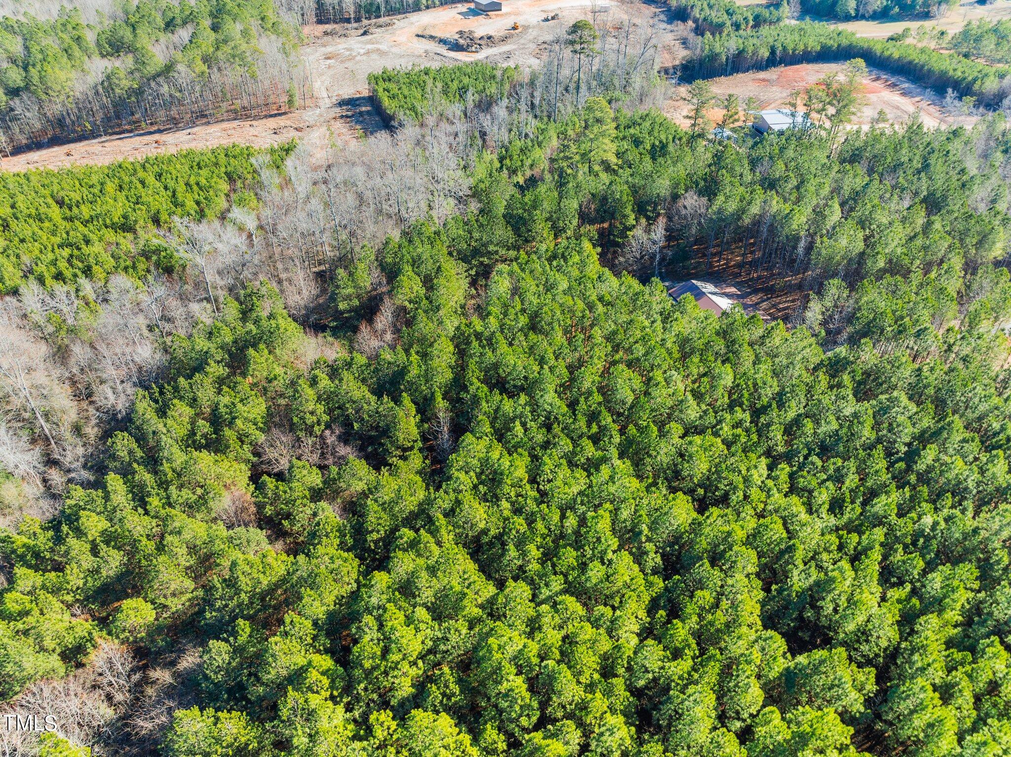 550 Moore Perkerson Road Spring Hope, NC 27882 - Photo 14 of 17 14-web-or-mls-Copy-0212