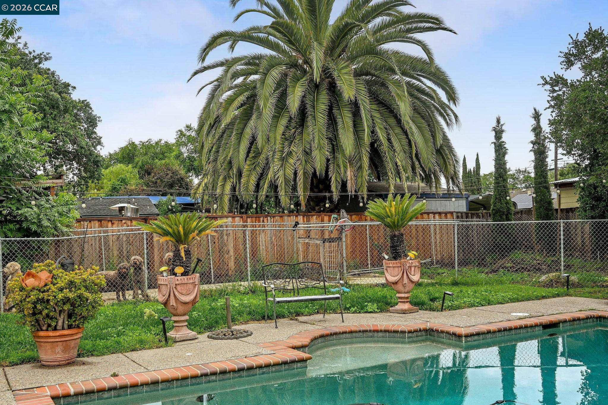 2355 Belmont Road Concord, CA 94520 - Photo 25 of 26