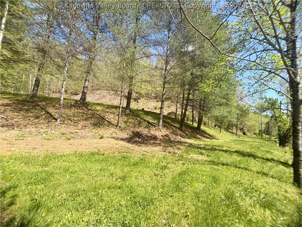 469 Tims Frk Road Chapmanville, WV 25508 - Photo 22 of 30 Gallery Image 22