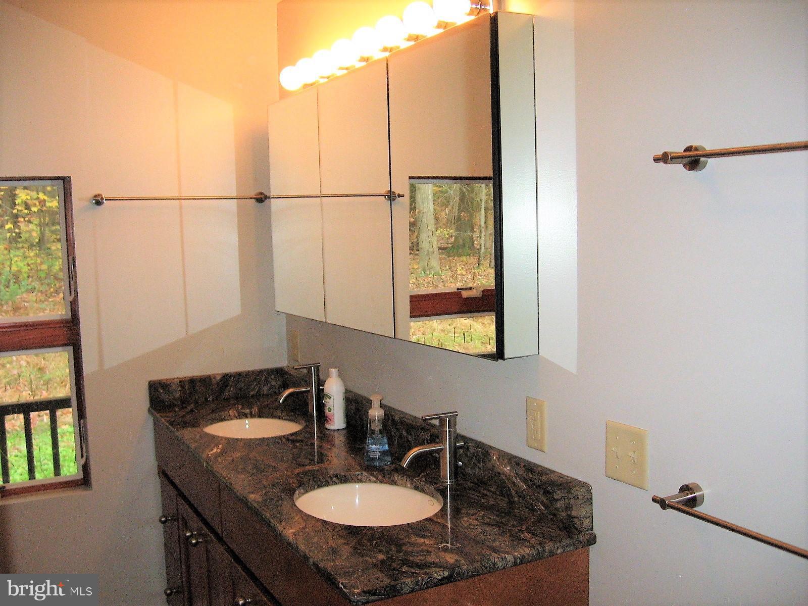55 Patrick Ward Drive Rising Sun, MD 21911 - Photo 20 of 30 Bath
