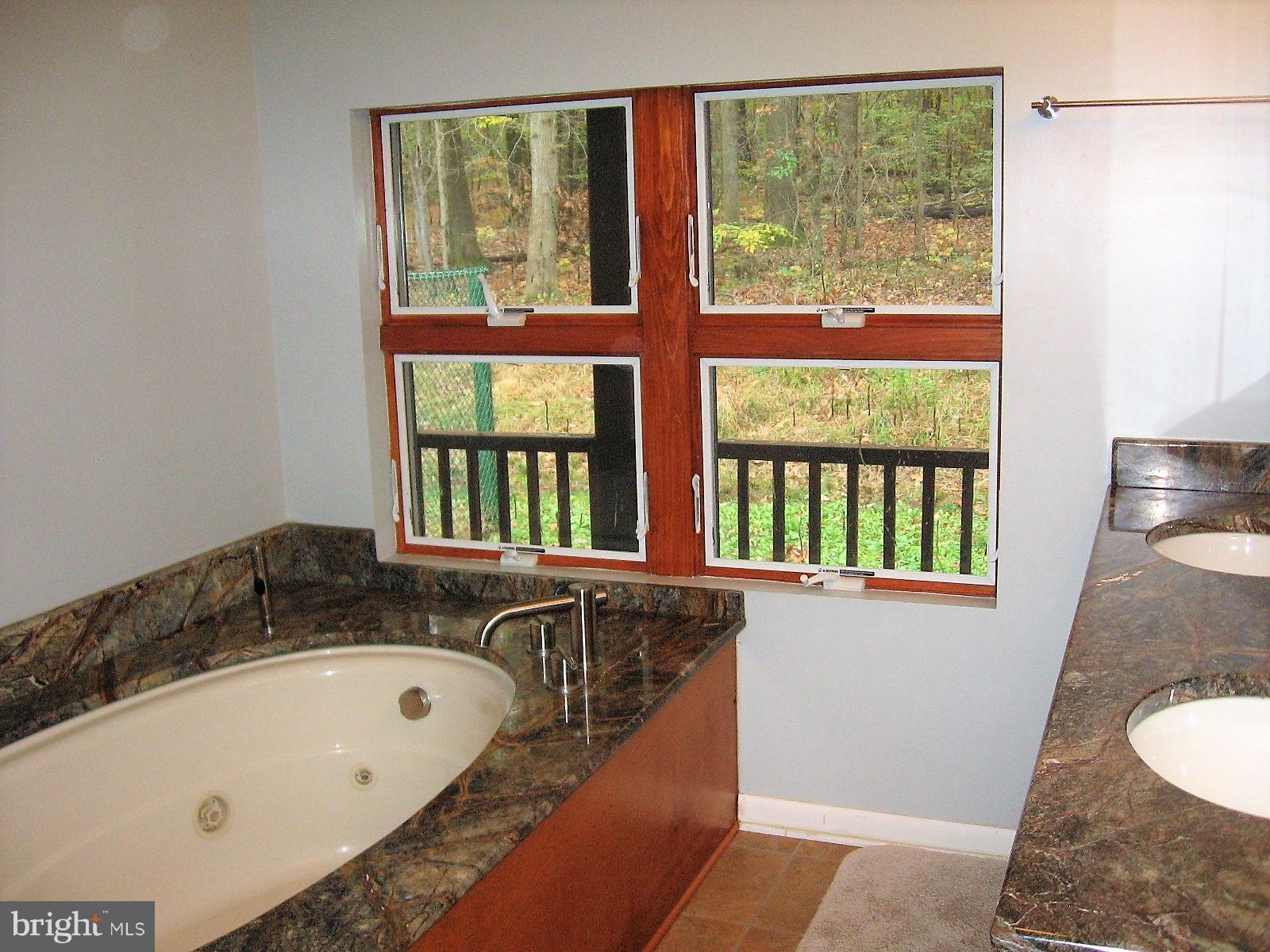 55 Patrick Ward Drive Rising Sun, MD 21911 - Photo 22 of 30 Bath