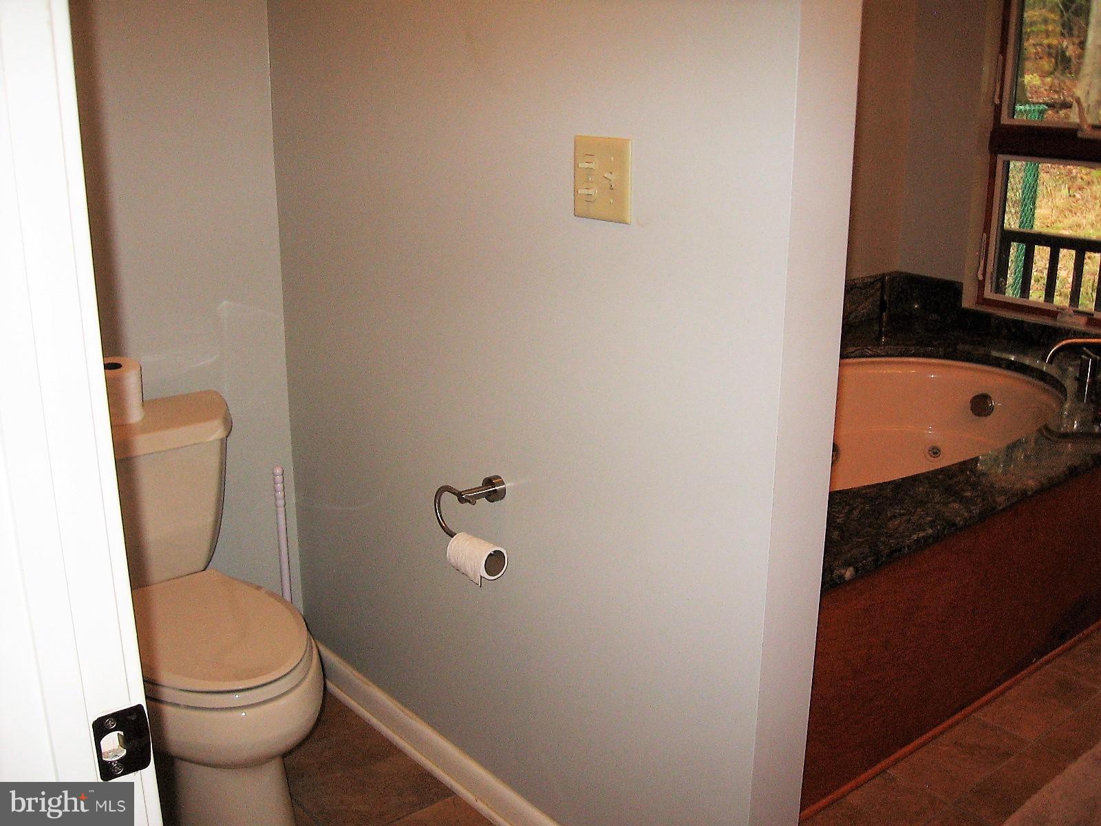 55 Patrick Ward Drive Rising Sun, MD 21911 - Photo 23 of 30 Bath (Master)