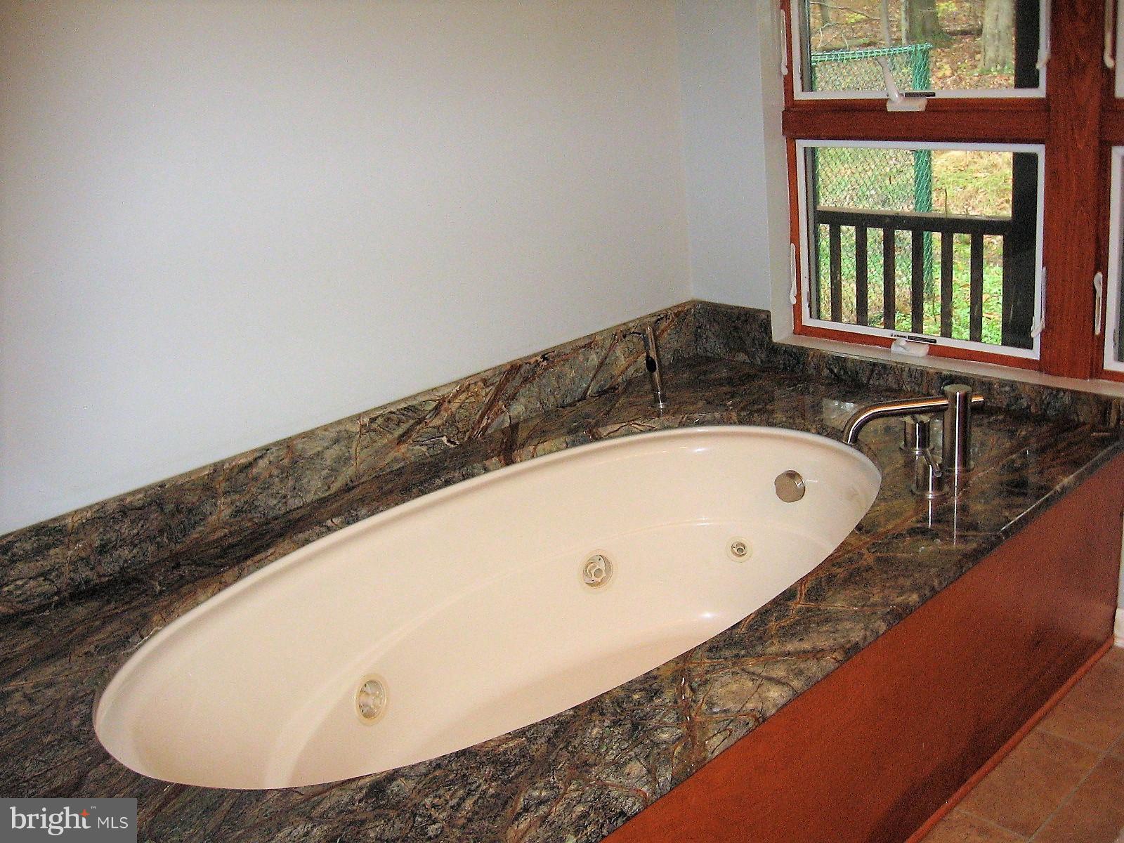55 Patrick Ward Drive Rising Sun, MD 21911 - Photo 24 of 30 Bath
