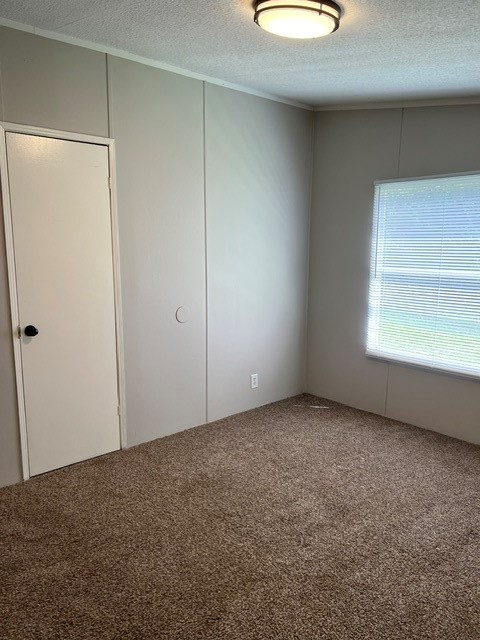 16469 Spring Rain Court Conroe, TX 77302 - Photo 11 of 18