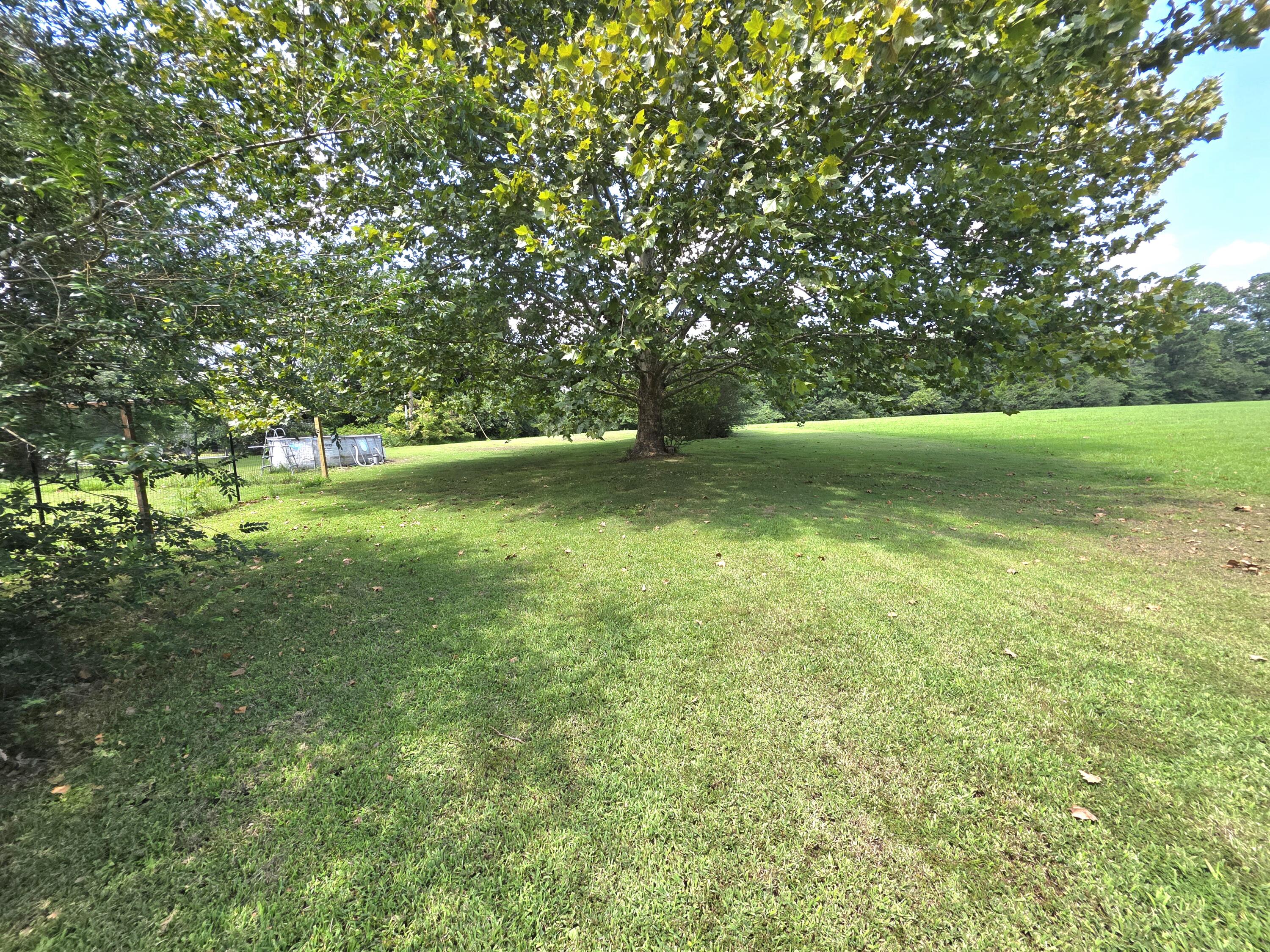 1890 Radio Road Almo, KY 42020 - Photo 13 of 49 20260805_140838