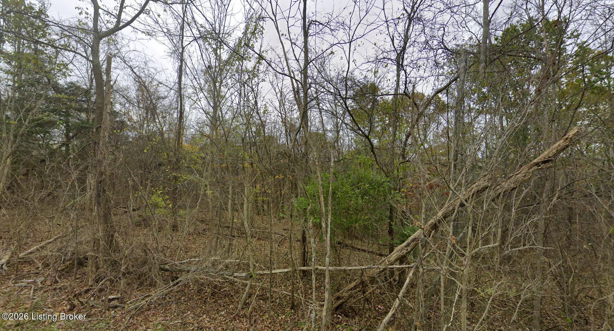 Wooded Property View