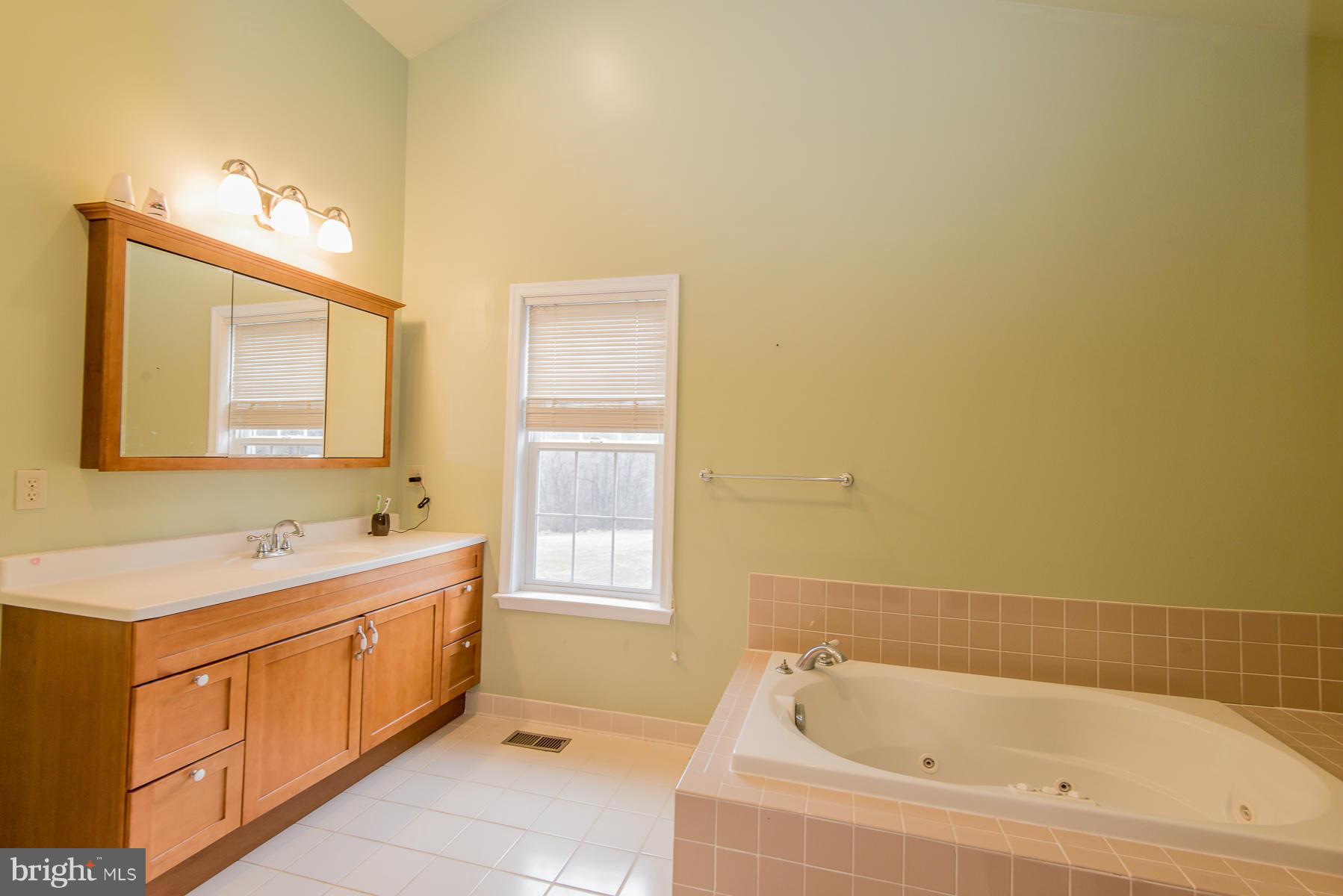 12751 Liberty Road Mount Airy, MD 21771 - Photo 16 of 28 Bath (Master)