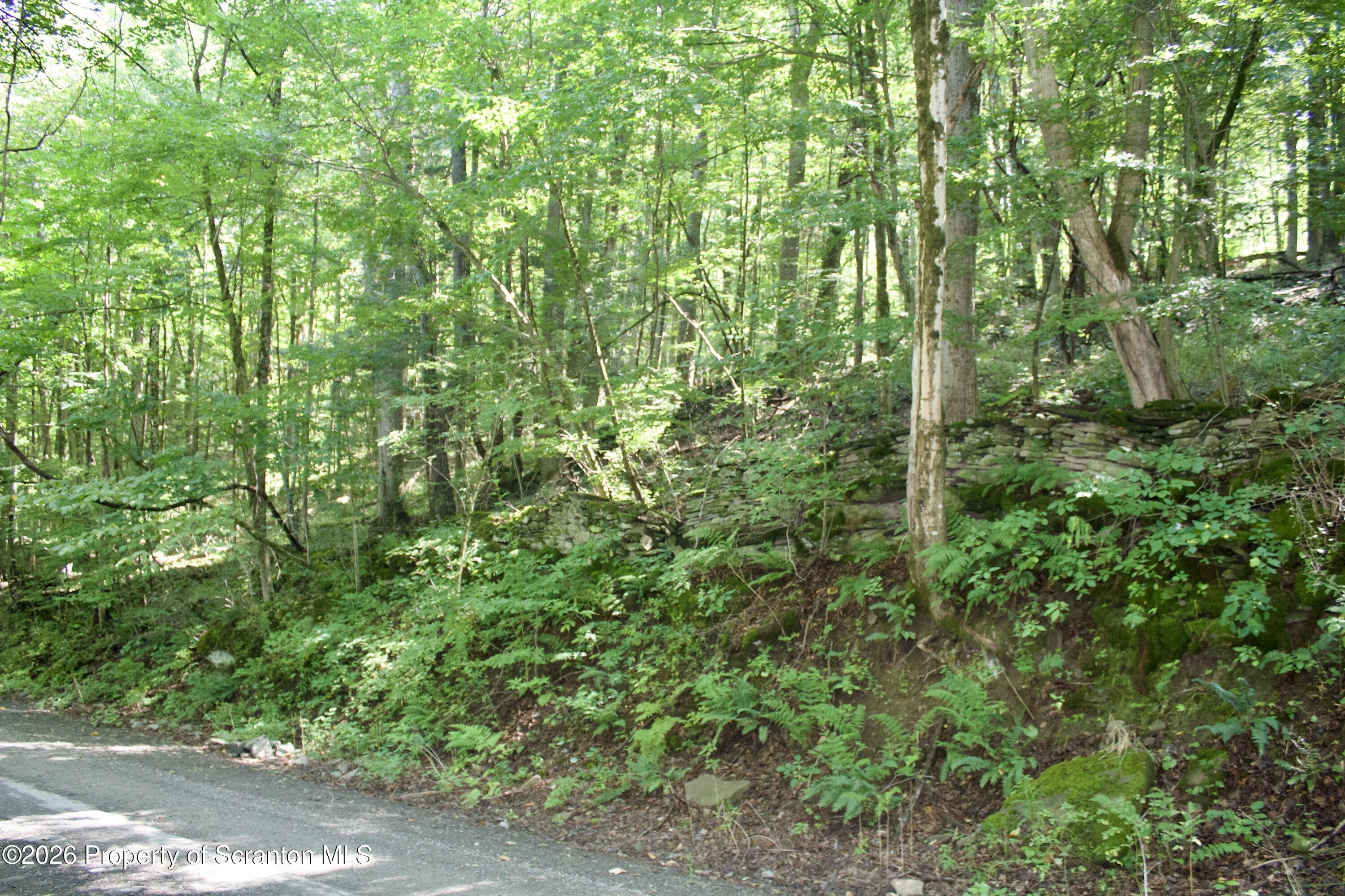 2000 Belcher Road Union Dale, PA 18470 - Photo 27 of 28 IMG_4625