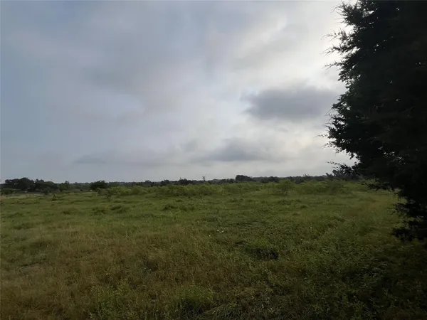 a view of a field with ocean view