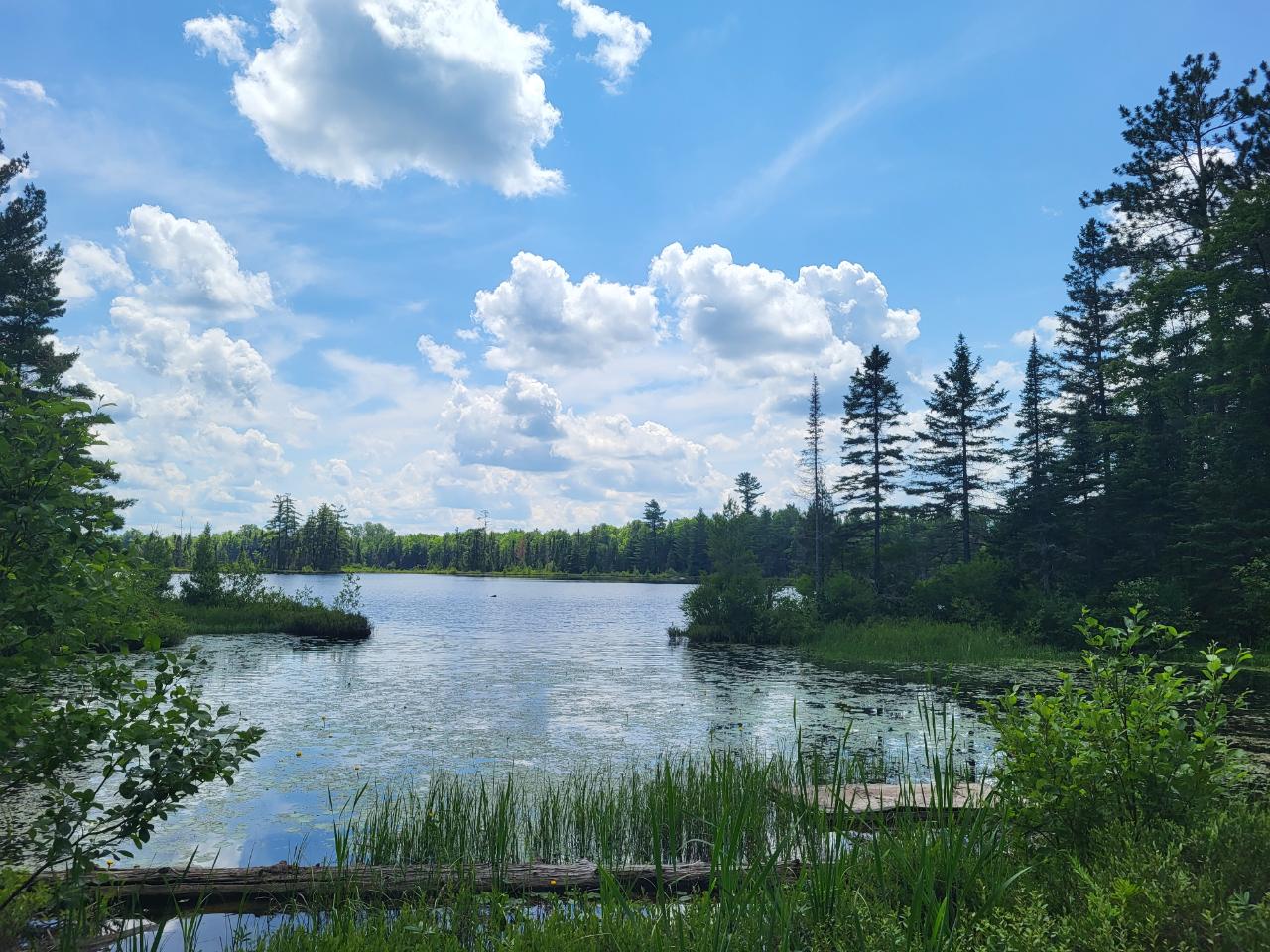 Lot 5 Blue Heron Ridge Road Mercer, WI 54547 - Photo 10 of 13 Gallery Image 10