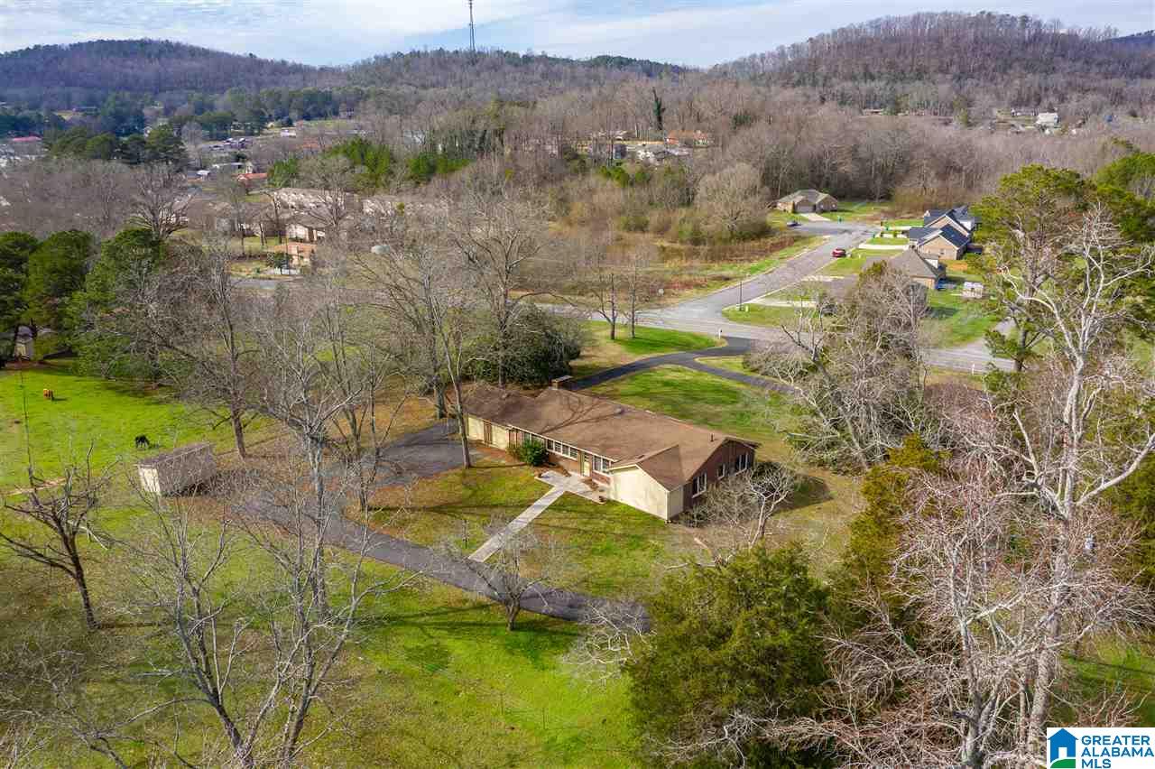 790 Valley Road Oneonta, AL 35121 - Photo 3 of 20