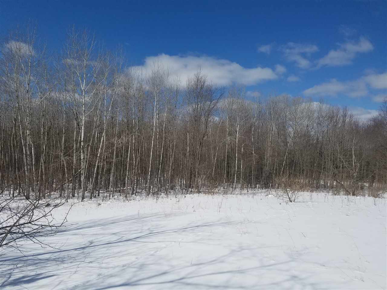 2412 South 15 Road Harrietta, MI 49638 - Photo 19 of 42 1844609-18.JPG