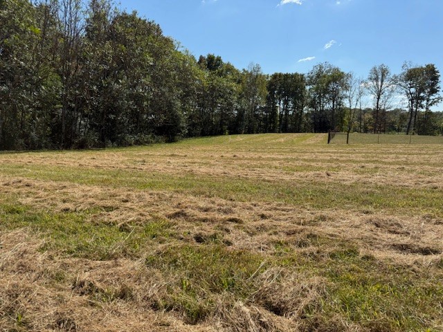 555 Smith Road Crossville, TN 38571 - Photo 14 of 33 a view of a yard
