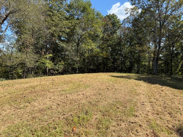 555 Smith Road Crossville, TN 38571 - Photo 18 of 33 a view of yard covered with snow