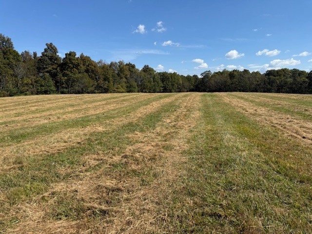 555 Smith Road Crossville, TN 38571 - Photo 3 of 33 a view of lake with green space