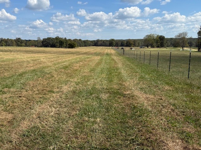 555 Smith Road Crossville, TN 38571 - Photo 31 of 33 a view of an ocean from a yard
