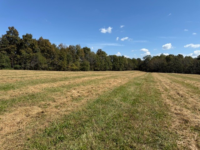 555 Smith Road Crossville, TN 38571 - Photo 5 of 33 a view of an outdoor space and a yard