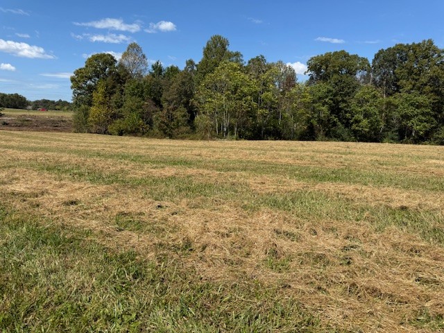 555 Smith Road Crossville, TN 38571 - Photo 6 of 33 a view of an outdoor space and a yard