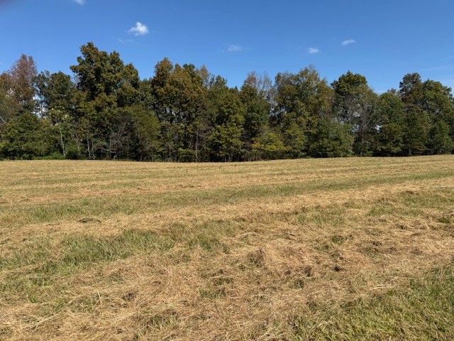 555 Smith Road Crossville, TN 38571 - Photo 9 of 33 a view of empty field with trees in background