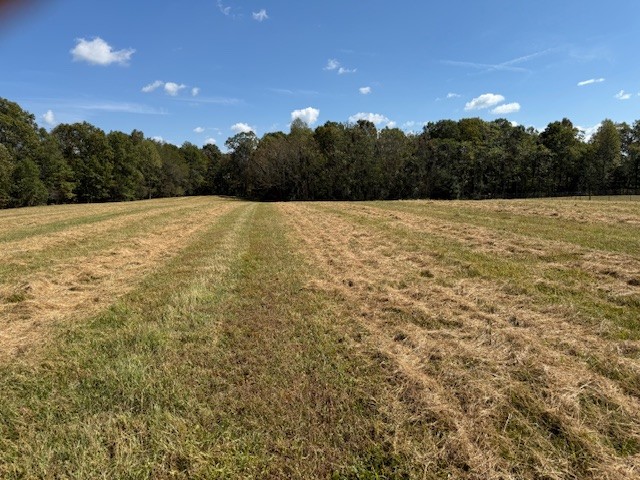 555 Smith Road Crossville, TN 38571 - Photo 10 of 33 a view of mountain with large trees