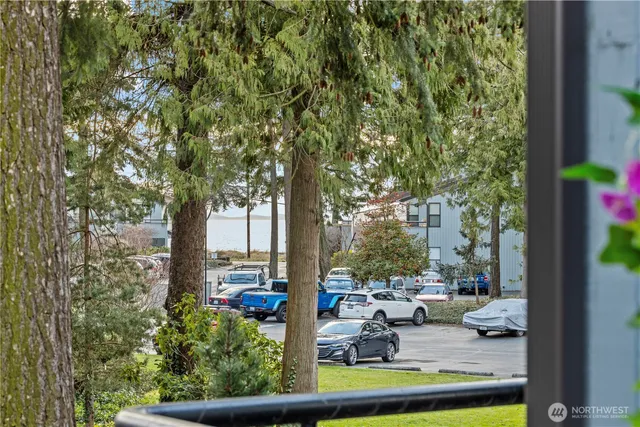 a view of a patio with couches plants and large trees