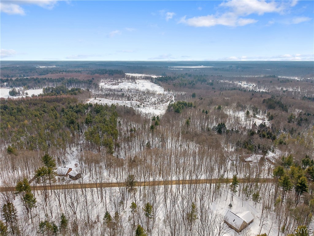 131 Gillette Road Mexico, NY 13114 - Photo 41 of 42