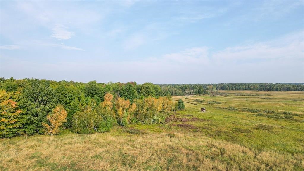 40-acres County Road South Rudolph, WI 54475 - Photo 3 of 21 Gallery Image 3