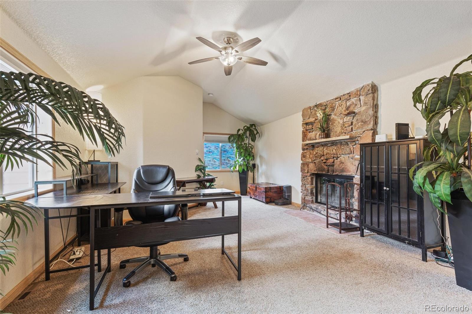 132 Wagon Tongue Road Bailey, CO 80421 - Photo 8 of 40 Gallery Image 8