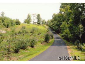 207 Jody Cove Road Canton, NC 28716 - Photo 23 of 24 Gallery Image 23