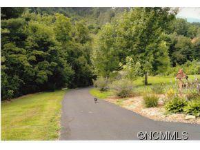 207 Jody Cove Road Canton, NC 28716 - Photo 24 of 24 Gallery Image 24