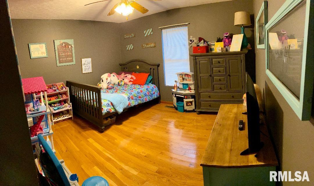 703 South Main Street Belle Rive, IL 62810 - Photo 3 of 18