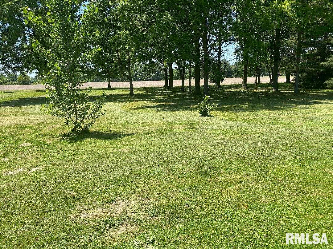 703 South Main Street Belle Rive, IL 62810 - Photo 8 of 18
