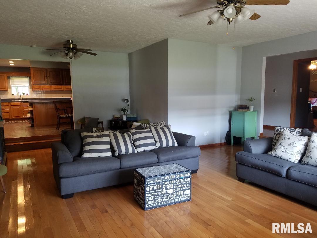 703 South Main Street Belle Rive, IL 62810 - Photo 10 of 18